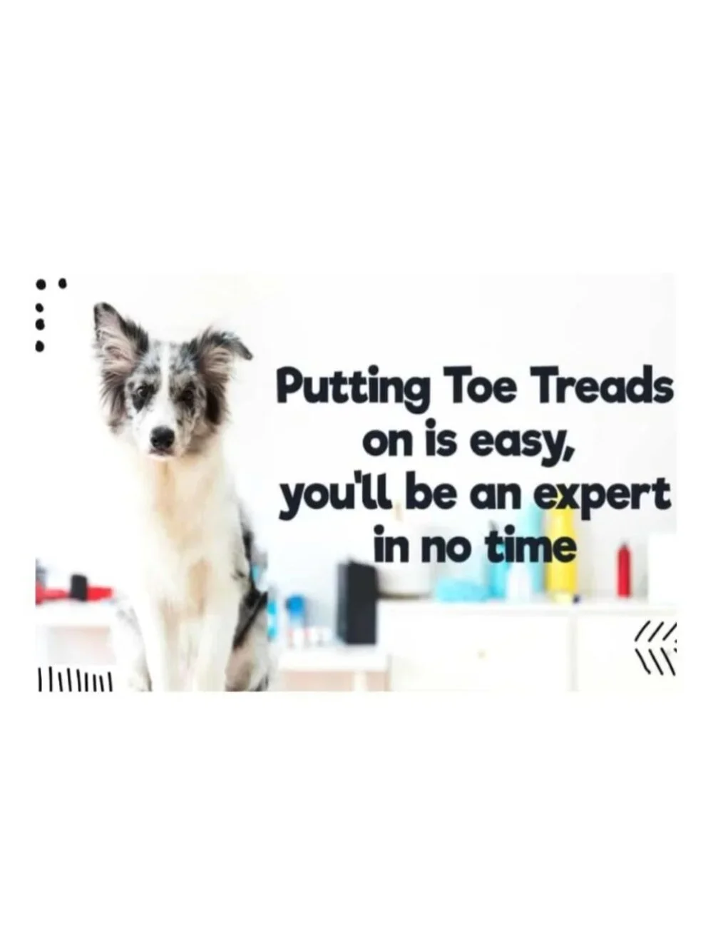Dr. McHenrys Dog Toe Treads with Adhesive & Brush Senior Dog Traction & Mobility